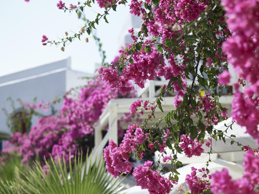 Polikandia Hotel Folégandros Exteriör bild